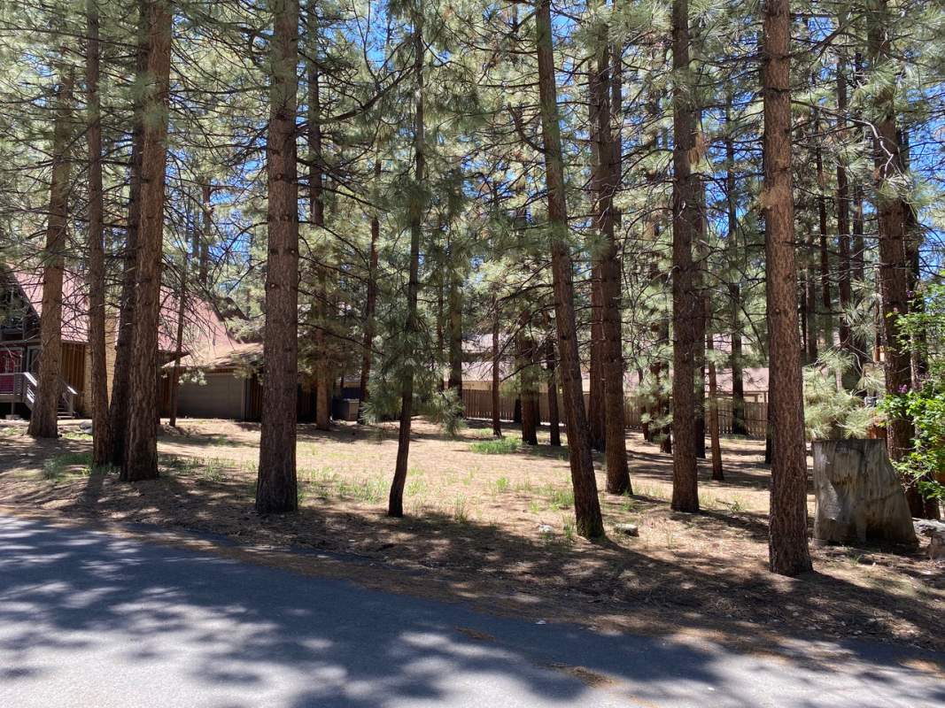 646 Ponderosa Dr 646 Ponderosa Dr